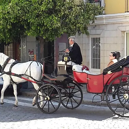 Sherryflat Paralejo 10 - Parking Apartamento Jerez de la Frontera