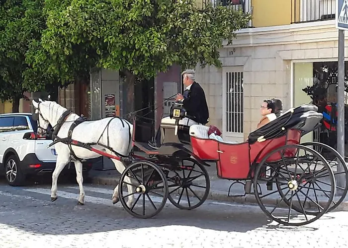 Sherryflat Paralejo 10 - Parking Apartamento Jerez de la Frontera